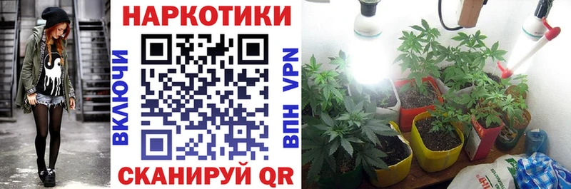 Купить наркоту Аткарск Альфа ПВП  Конопля  Мефедрон  ГАШИШ 