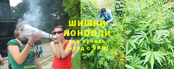 дурь Алексеевка
