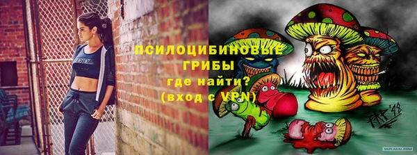 бошки Алзамай